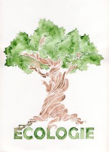 baob-ecologie