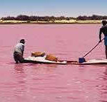 lac-rose-piroque-saliere