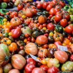 vegetables-market-1500x1000